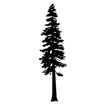 Artwork thumbnail, Redwood Tree Silhouette by katedill0n