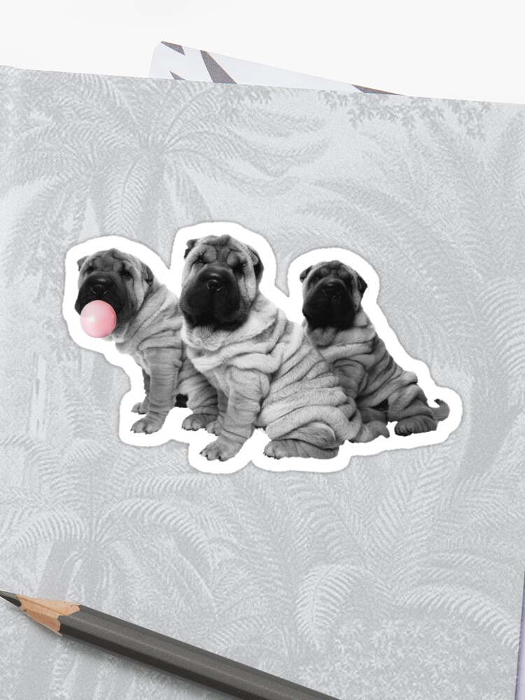 Chinese Shar Pei Puppies With Bubble Gum Black White Cute