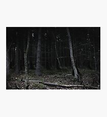 Lurkers Photographic Print