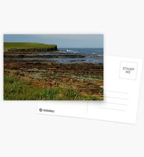 LINED ROCKS Postcards