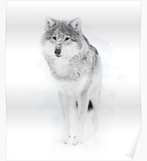 Lone Wolf Poster