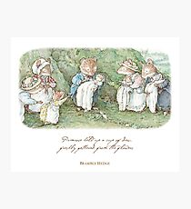 Brambly Hedge Naming Ceremony Photographic Print