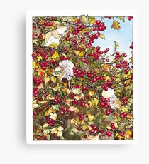 The Blackthorn Bush Canvas Print