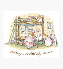 Lady Woodmouse gets the little mice into bed Photographic Print