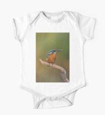 Common Kingfisher, Alcedo atthis, AKA Eurasian Kingfisher or River Kingfisher Israel August One Piece - Short Sleeve
