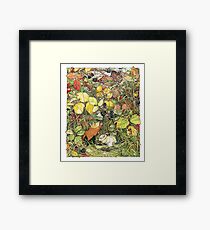 Blackberry picking Framed Print