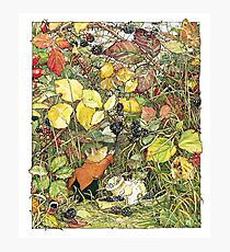 Blackberry picking Photographic Print