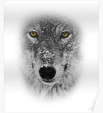 Wolf Face Poster