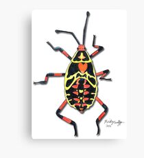 Colorful Insect Canvas Print