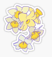 Daffodils Sticker