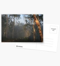 Avon Valley Postcards