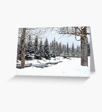 Breckenridge Winterland Greeting Card