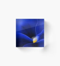 Blue Velvet Acrylic Block