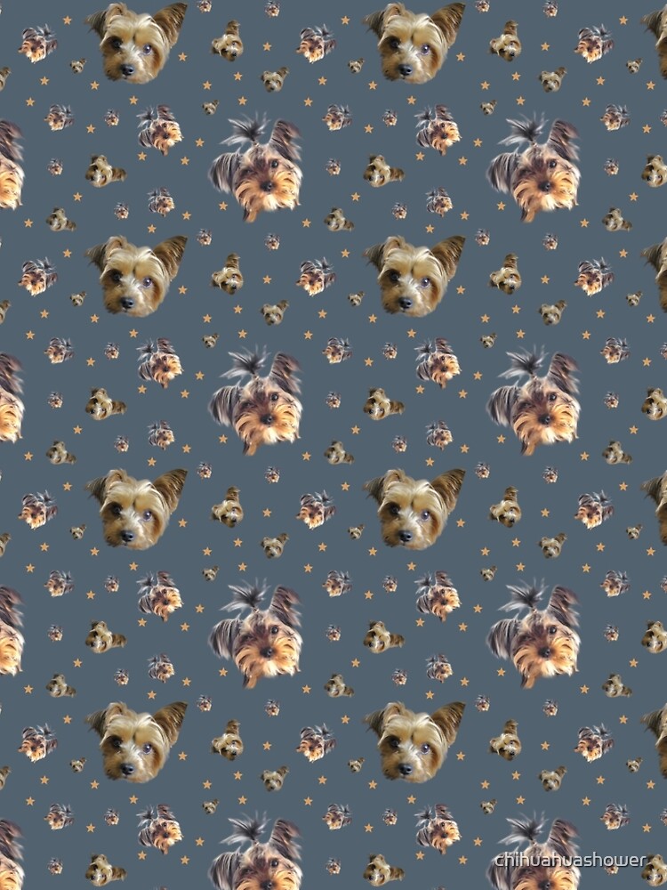Yorkie stars by chihuahuashower