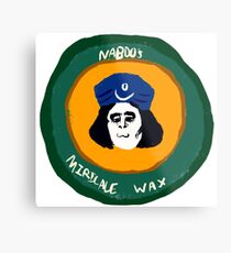 Naboo's Miricale Wax Metal Print
