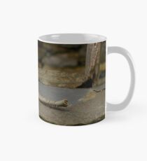 Power in the Ruin Classic Mug