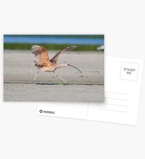 Cleared for take off Postcards
