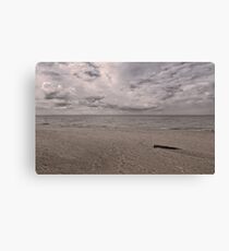 Muted but Majestic Canvas Print