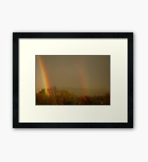 bows Framed Print