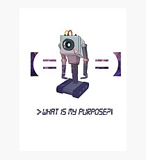 Sad Machine What is my Purpose Photographic Print