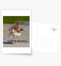 Fluffy Postcards
