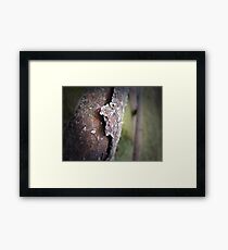 Water touch Framed Print