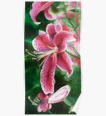 Lilies Poster