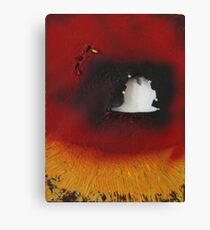 Paradoxon Canvas Print