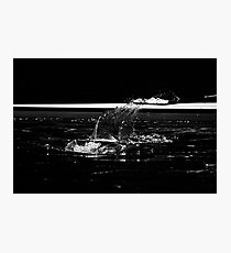 Splash Photographic Print