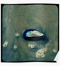 Ttv: Estranged Poster