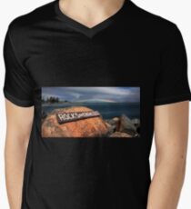 Rainbow Forster 047 Men's V-Neck T-Shirt