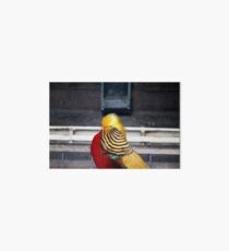 Colorful Pfeasant Art Board