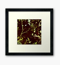 withered Framed Print