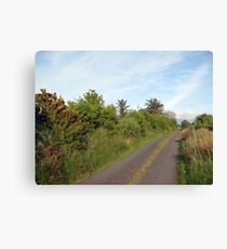 Rural Irish road Canvas Print