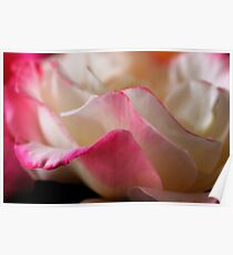 Blushing Romance Poster