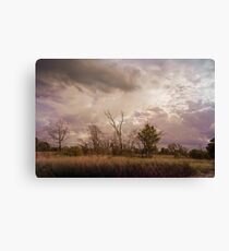 Stormy gray skies hang over Indiana Dunes Canvas Print