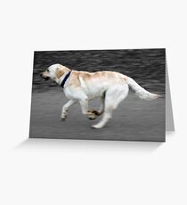 Motion-Lab Greeting Card