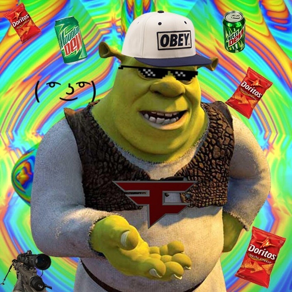 MLG Meme, Shrek Meme, HD Wallpaper Peakpx, 47% OFF