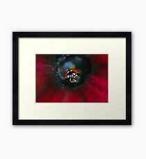 A Very Special Ladybug Framed Print