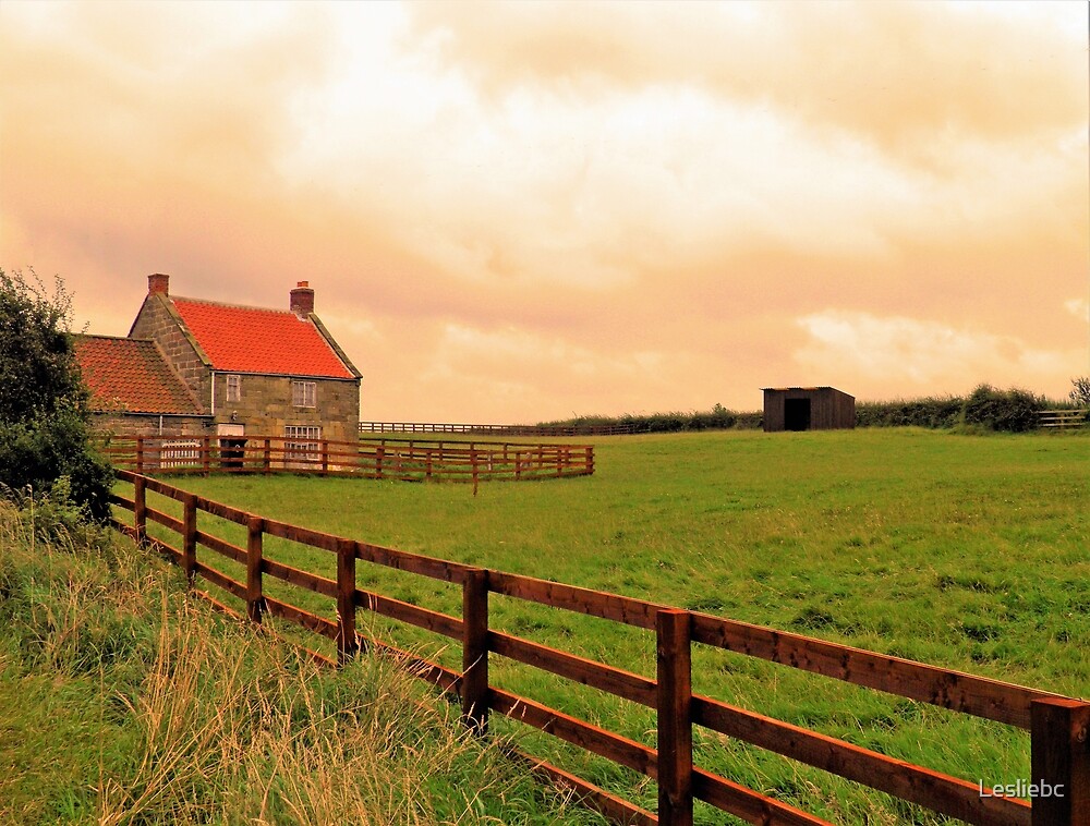 farmer-s-field-by-lesliebc-redbubble