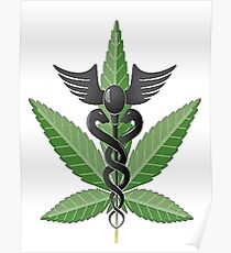 Medical Marijuana Leaf Poster