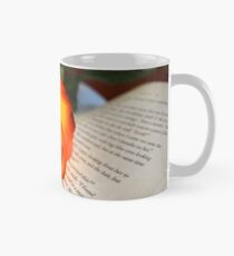 Love of Books Mug