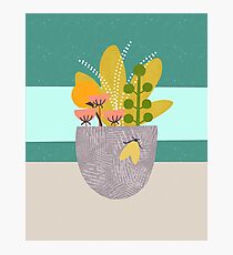 Planter Moth Photographic Print