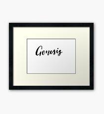 Genesis Framed Print
