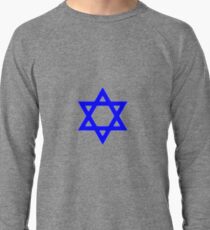 Star of David, ✡, Shield of David, Magen David, symbol, Jewish identity, Judaism, #StarofDavid, #✡, #ShieldofDavid, #MagenDavid, #symbol, #Jewishidentity, #Judaism, #Jewish Lightweight Sweatshirt