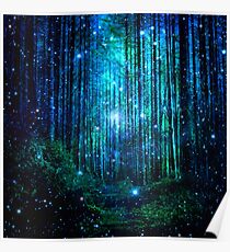 In the magical Forest Poster