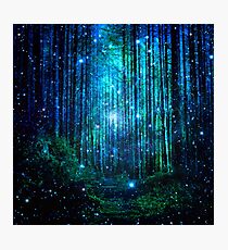 In the magical Forest Photographic Print