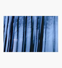 While you can Photographic Print