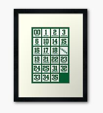 Retired Numbers - Celtics Framed Print
