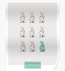 Erschrockener Kaninchen-Druck Poster